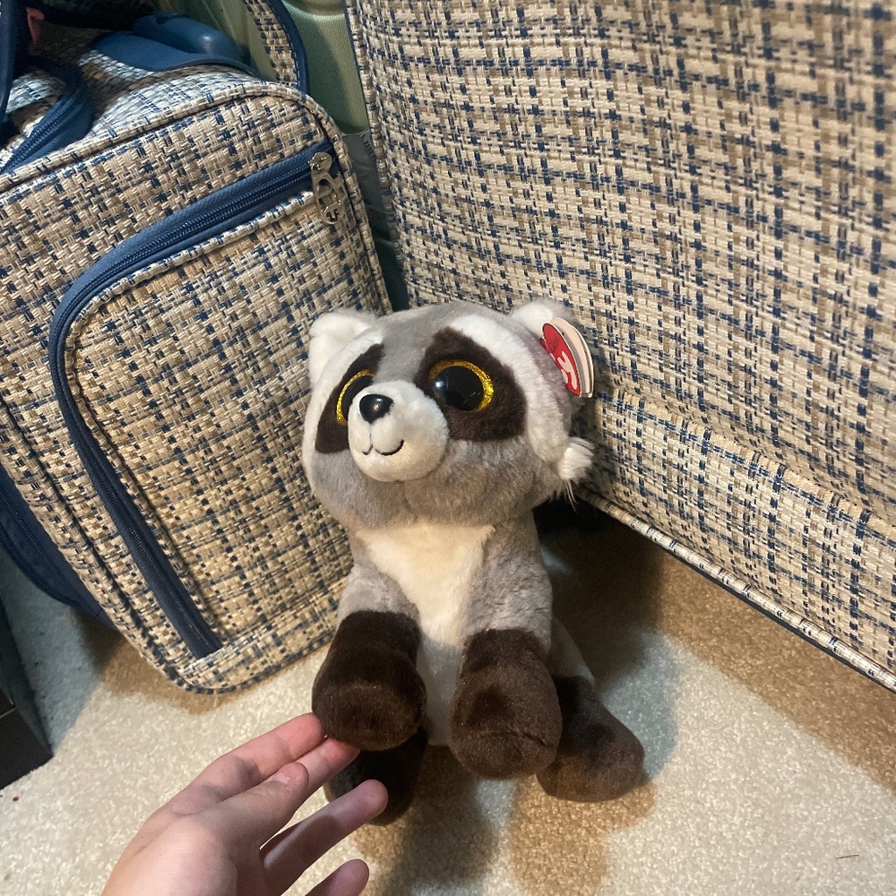 Raccoon Stuffed Animal